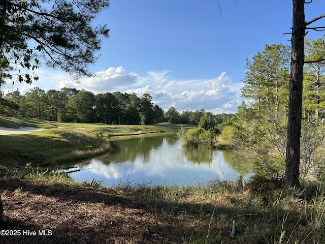 564 Lindgrove Pl SW Unit 44, Ocean Isle Beach, NC 28469