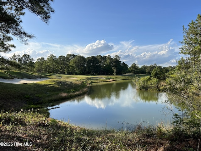 564 Lindgrove Pl SW Unit 44, Ocean Isle Beach, NC 28469