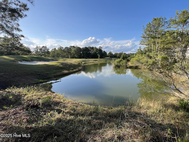 564 Lindgrove Pl SW Unit 44, Ocean Isle Beach, NC 28469