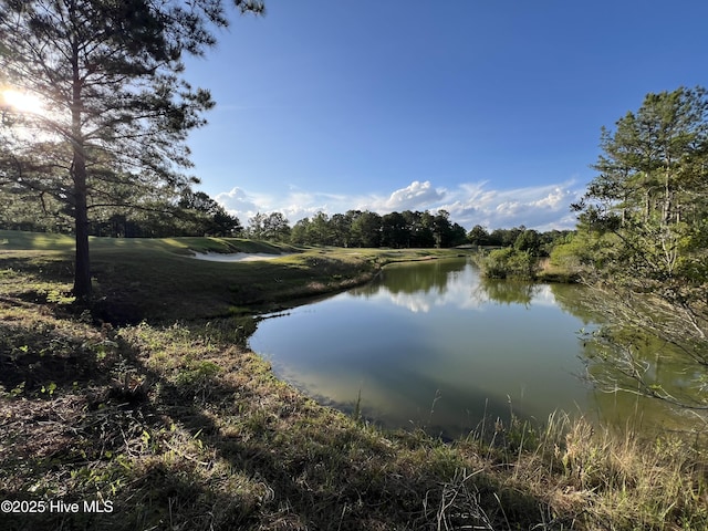 564 Lindgrove Pl SW Unit 44, Ocean Isle Beach, NC 28469