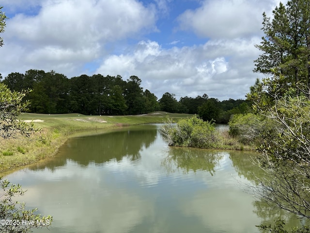 564 Lindgrove Pl SW Unit 44, Ocean Isle Beach, NC 28469