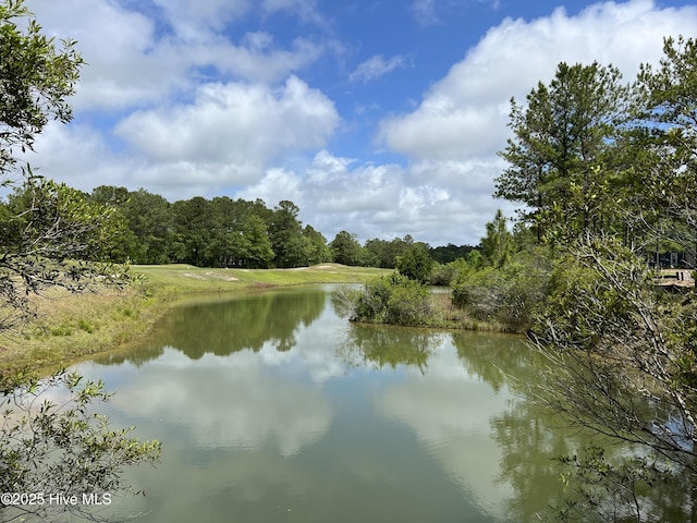 564 Lindgrove Pl SW Unit 44, Ocean Isle Beach, NC 28469