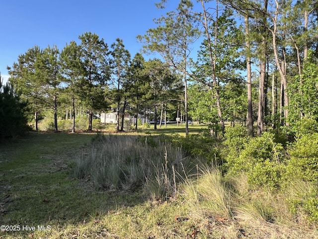 564 Lindgrove Pl SW Unit 44, Ocean Isle Beach, NC 28469