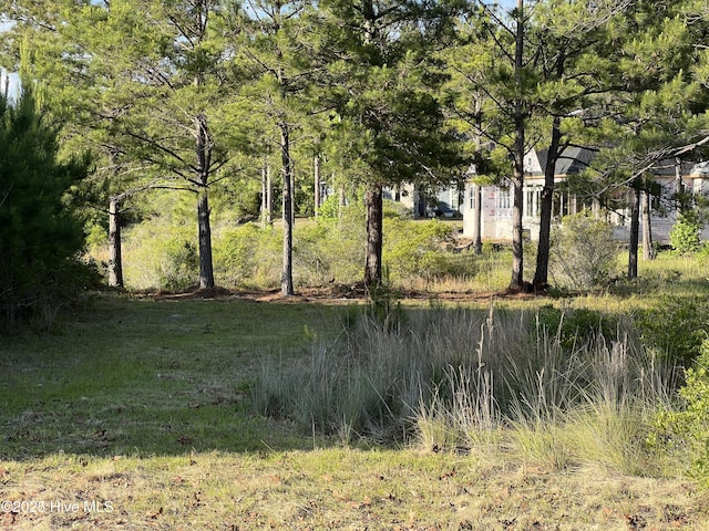 564 Lindgrove Pl SW Unit 44, Ocean Isle Beach, NC 28469