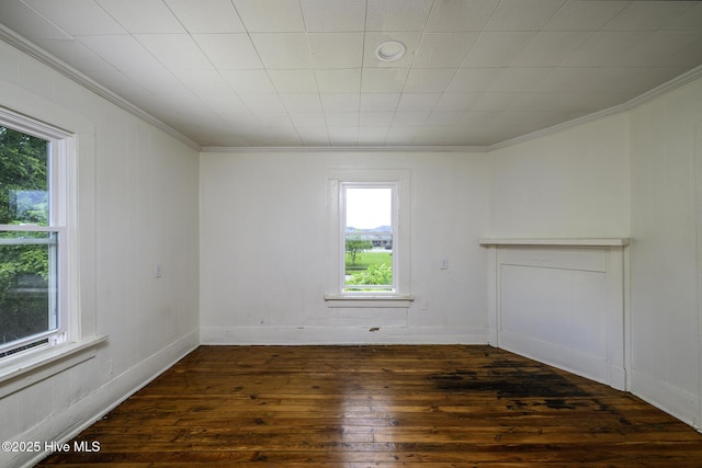 808 Green St, New Bern, NC 28560 - spare room with dark wood-style floors, crown molding, and plenty of natural light