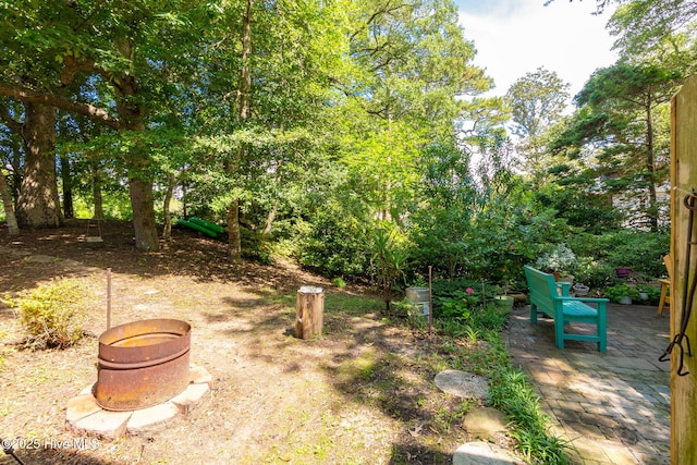 view of yard with a patio area