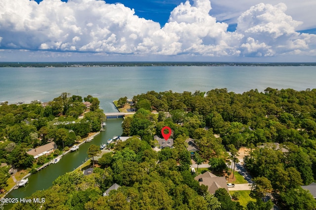 bird's eye view of a large body of water