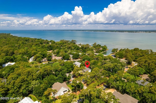 aerial perspective of suburban area with a large body of water