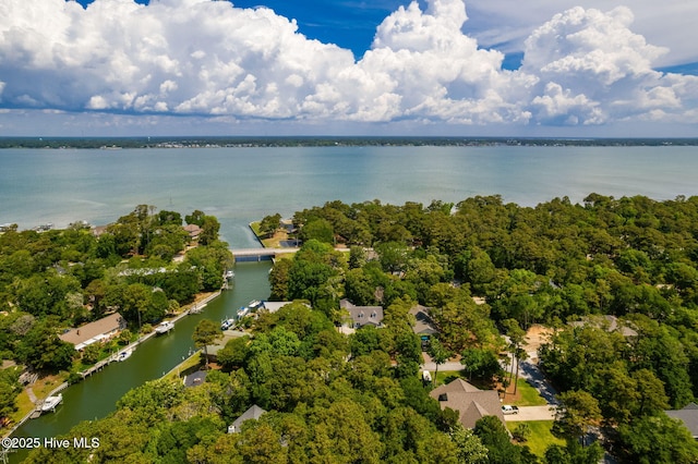 bird's eye view of a large body of water