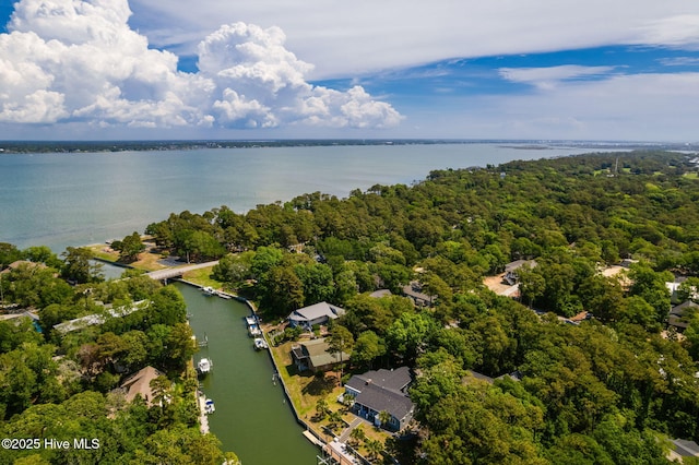 bird's eye view of a nearby body of water