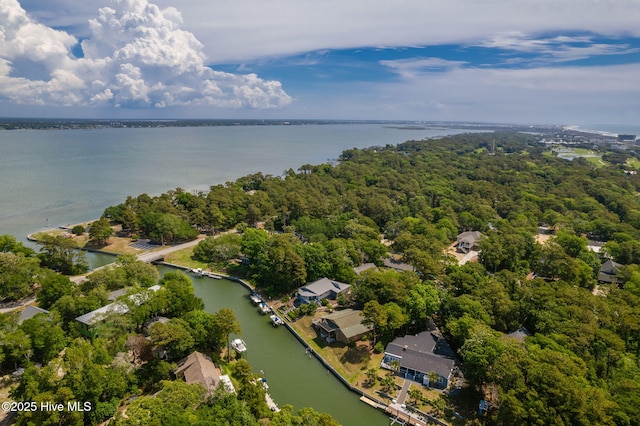 bird's eye view of a large body of water