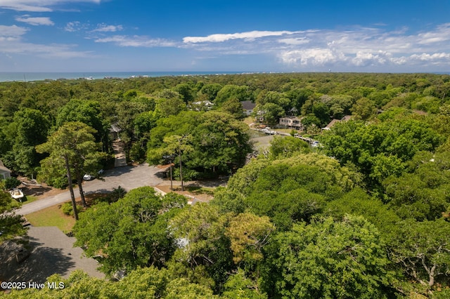 bird's eye view of a forest