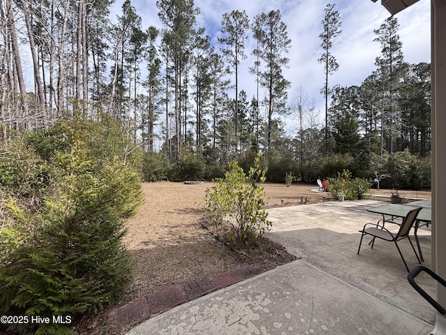 201 Shreveport Ct, Havelock, NC 28532 - view of patio