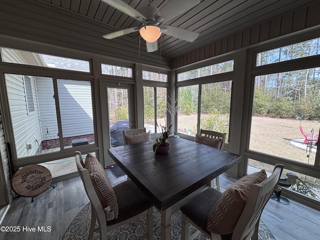 201 Shreveport Ct, Havelock, NC 28532 - sunroom featuring wood finished floors