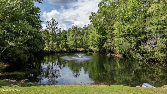 903 Buckingham Rd, Trent Woods, NC 28562 - water view featuring a heavily wooded area