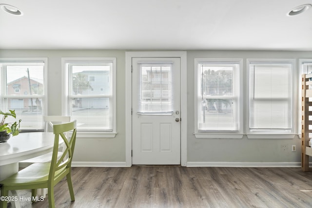 entryway featuring wood finished floors, baseboards, and healthy amount of natural light