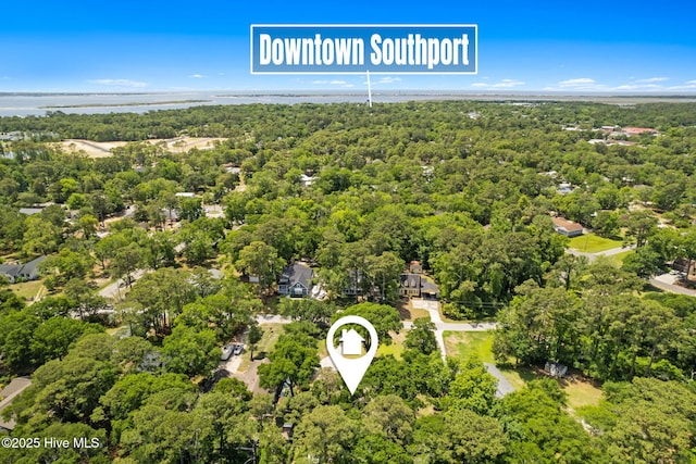 212 Park Ave, Southport, NC 28461 - drone / aerial view of a heavily wooded area and a large body of water