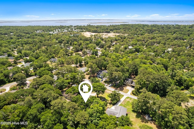 212 Park Ave, Southport, NC 28461 - aerial view of a nearby body of water and a heavily wooded area