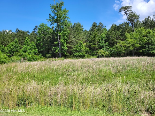 205 Hickory Ln, Aurora, NC 27806