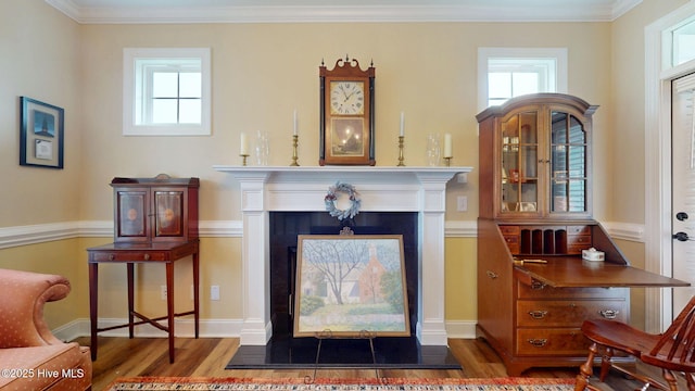 living room with wood finished floors, a fireplace, and crown molding