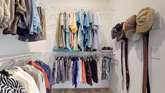 view of spacious closet