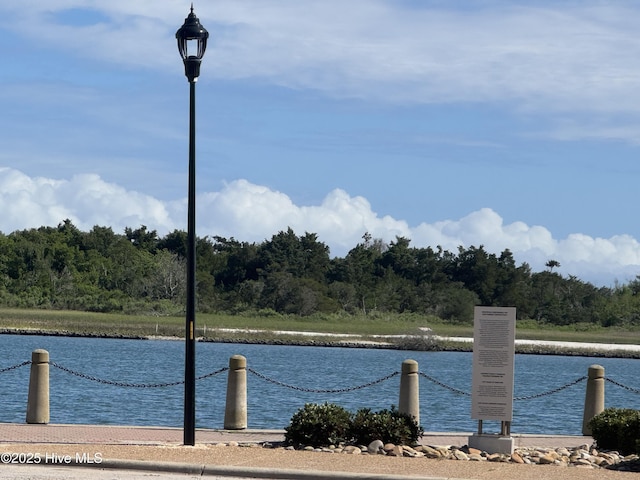 water view featuring a heavily wooded area