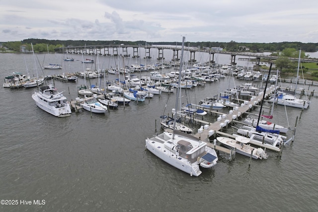 297 Broad St, Oriental, NC 28571 - water view with numerous boat docks