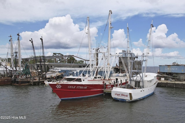 297 Broad St, Oriental, NC 28571 - dock featuring a water view