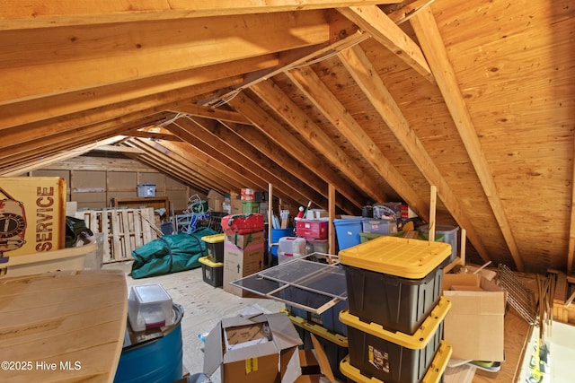 205 Sand Dollar Ln, Hampstead, NC 28443 - view of attic
