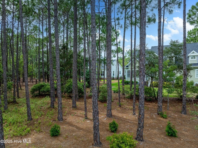 3752 Glenmere Ln, Southport, NC 28461 - view of local wilderness