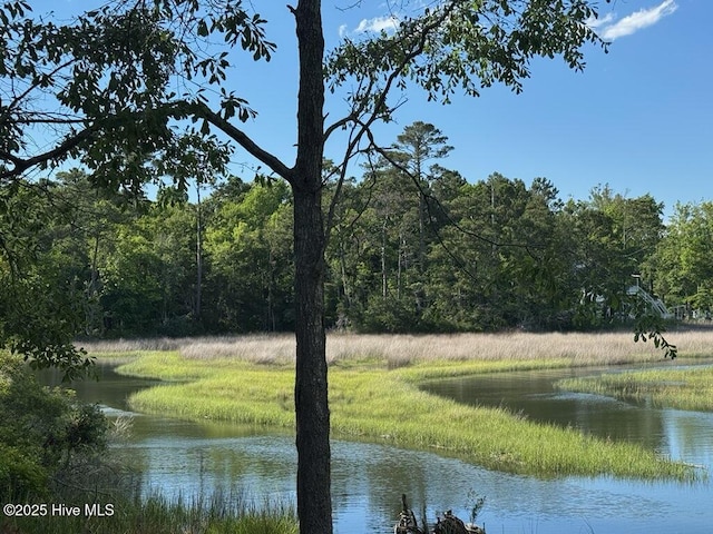 708 Cordgrass Rd, Hampstead, NC 28443 - water view with a heavily wooded area