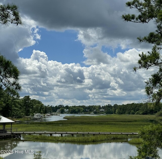 708 Cordgrass Rd, Hampstead, NC 28443 - water view featuring a forest