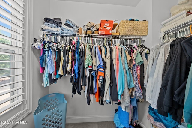 708 Cordgrass Rd, Hampstead, NC 28443 - walk in closet with carpet