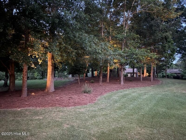 708 Cordgrass Rd, Hampstead, NC 28443 - view of green lawn