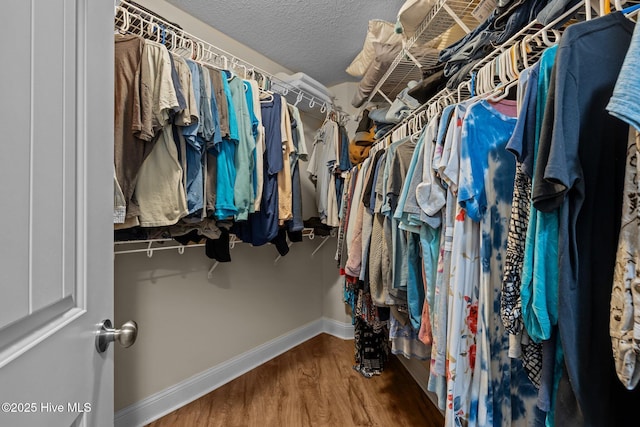 606 Spoleto Ct, Swansboro, NC 28584 - spacious closet with wood finished floors