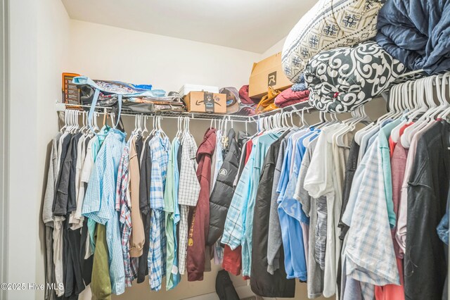 239 Shellbank Dr, Sneads Ferry, NC 28460 - view of walk in closet