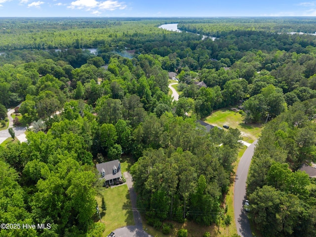 bird's eye view of a forest