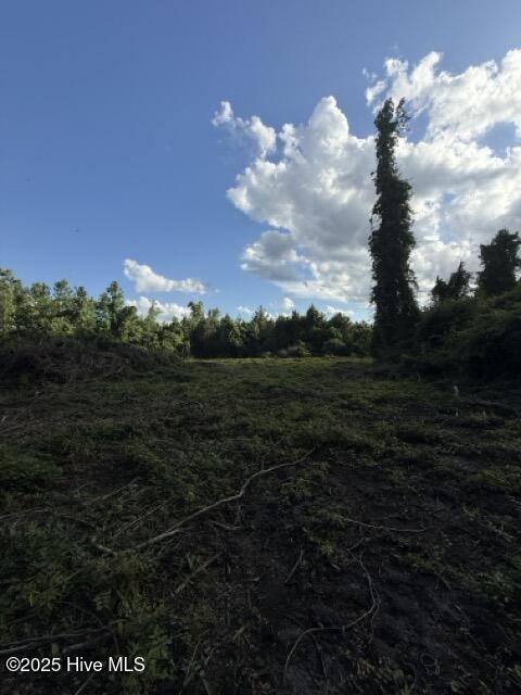 view of undeveloped land