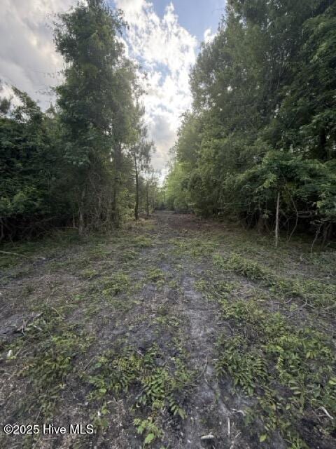 view of wooded area