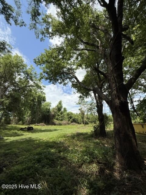 view of local wilderness