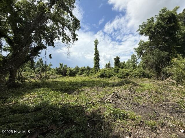view of nature