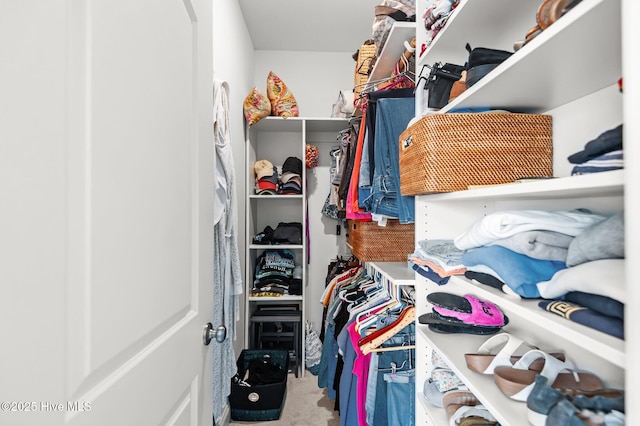spacious closet with carpet floors