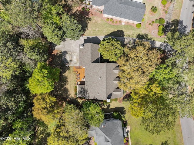 bird's eye view