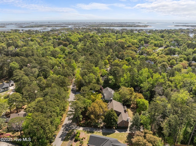 bird's eye view of a large body of water and a forest
