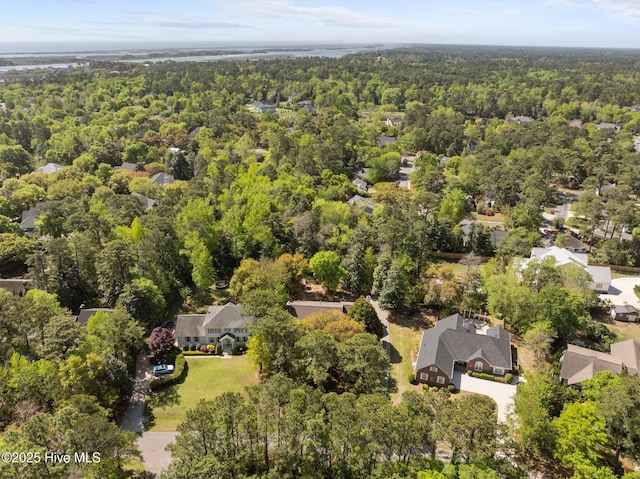 6212 Turtle Hall Dr, Wilmington, NC 28409 - bird's eye view of a forest