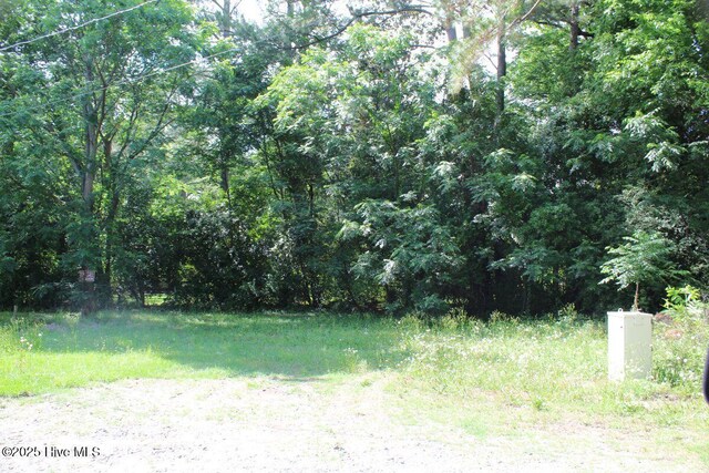 409 N Slocumb St, Goldsboro, NC 27530