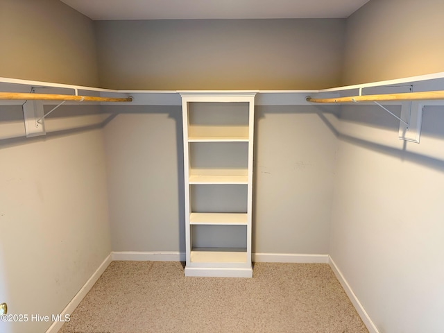 spacious closet featuring carpet floors