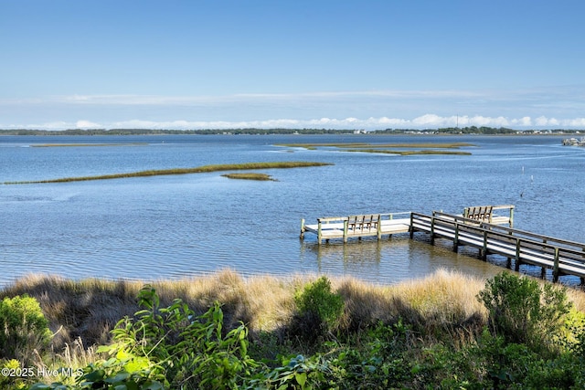 dock with a water view