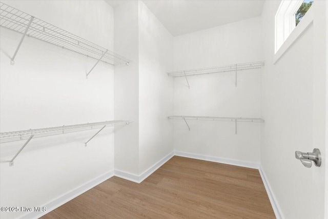 355 S Middleton Dr NW, Calabash, NC 28467 - walk in closet featuring wood finished floors