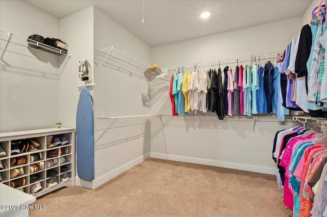 97 Eagle Claw Dr, Calabash, NC 28467 - spacious closet with carpet